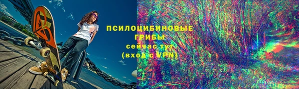 ALPHA PVP Куйбышев