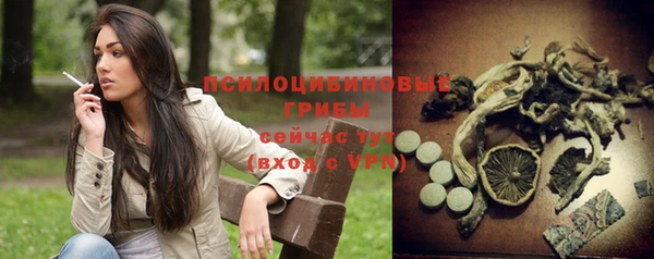 молекула духа Кукмор